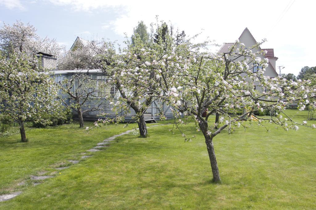 Villa Marleen Pärnu Extérieur photo